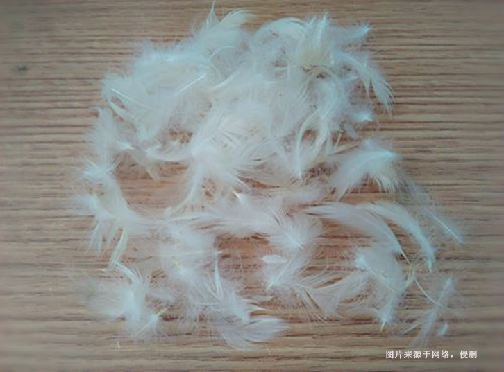 進口馬來西亞水洗鴨毛報關流程到上海外高橋案例