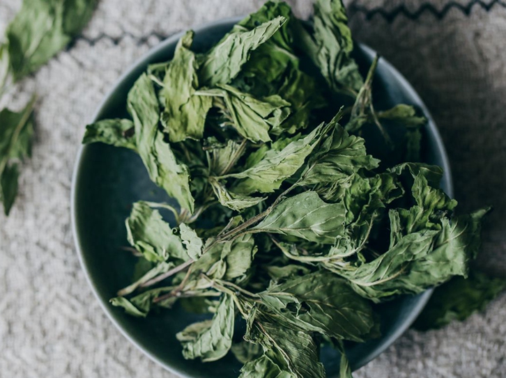 進(jìn)口美國(guó)干薄荷葉清關(guān)流程