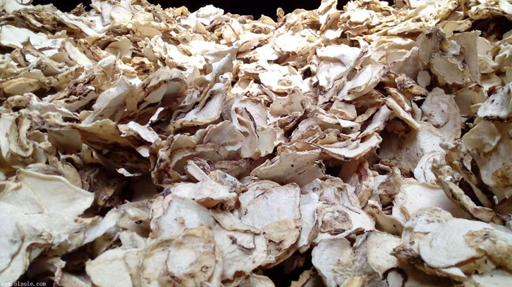 印尼魔芋可以進口嗎