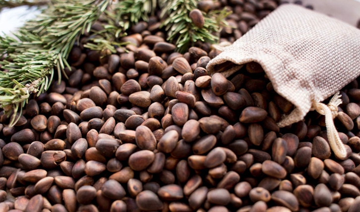 松子進(jìn)口清關(guān)公司