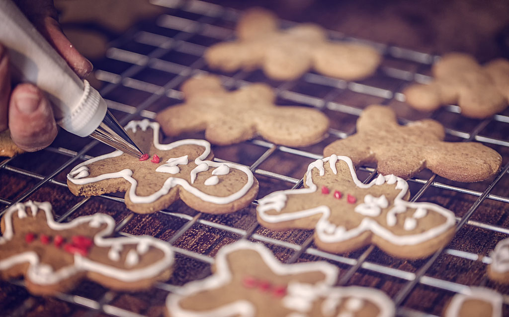 進(jìn)口寵物食品