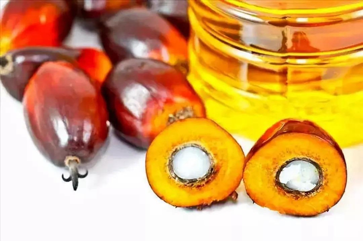 進(jìn)口印尼棕櫚油報(bào)關(guān)流程