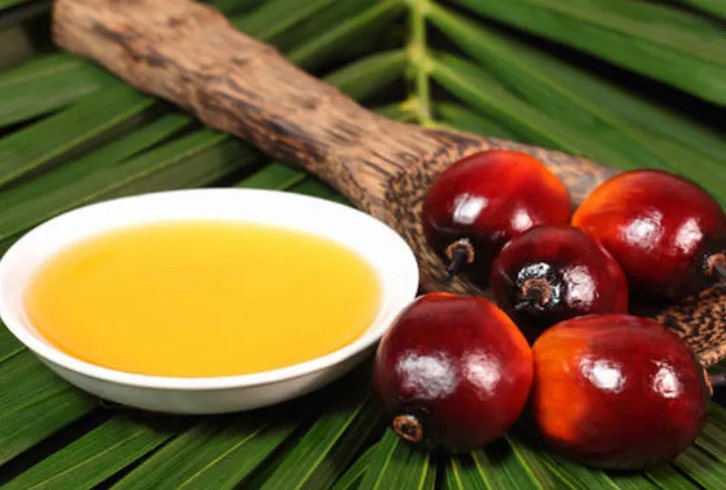 馬來西亞棕櫚油進(jìn)口報關(guān)