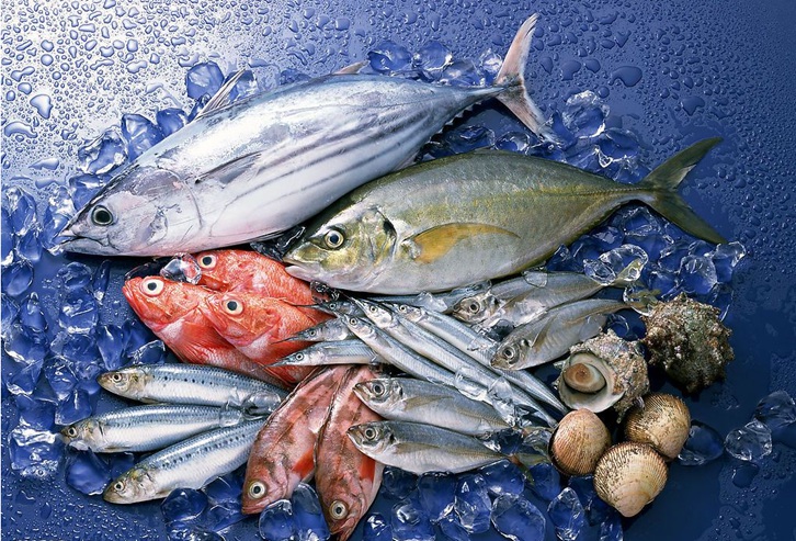 冷凍魚進口報關(guān)貨代