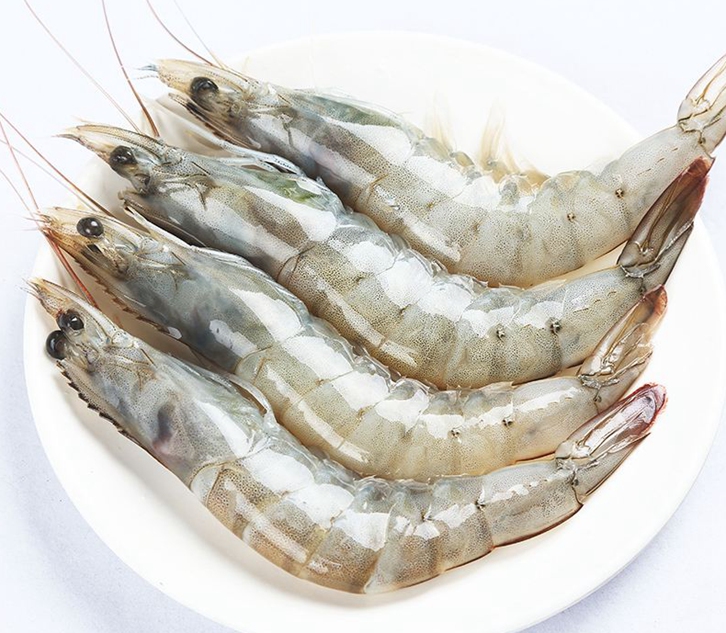 進口印度青蝦清關資料