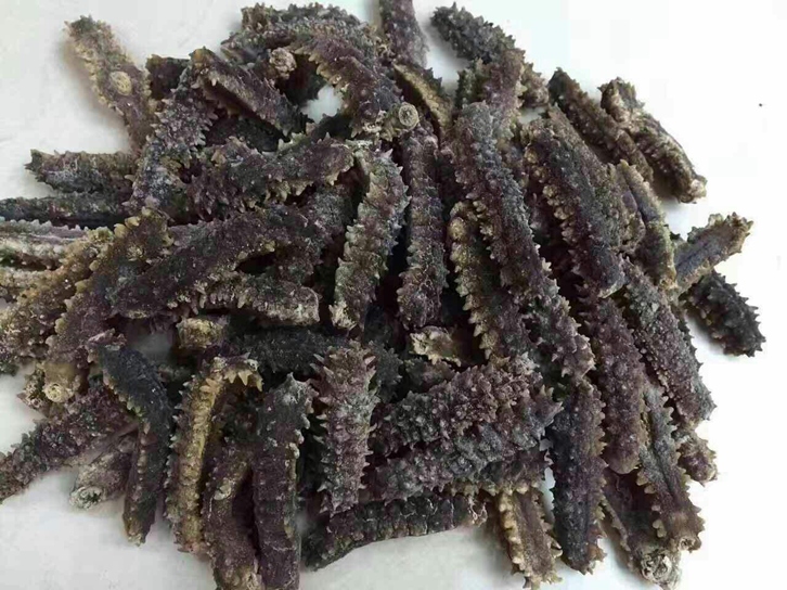 印尼海參進口清關(guān)公司