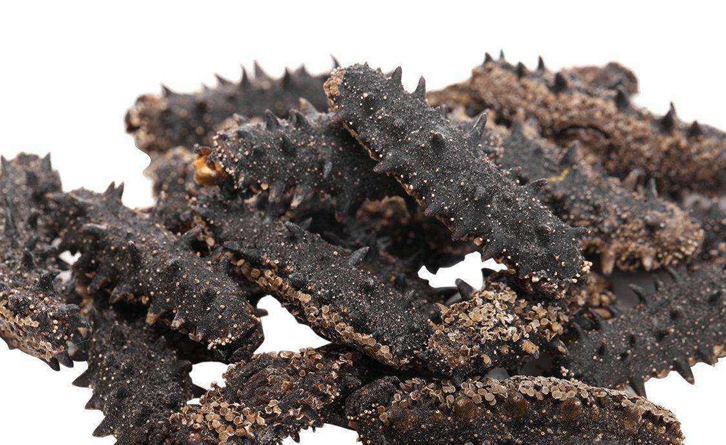 法國海參進口報關(guān)流程