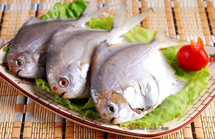 廣州南沙凍鯧魚進口報關(guān)資料