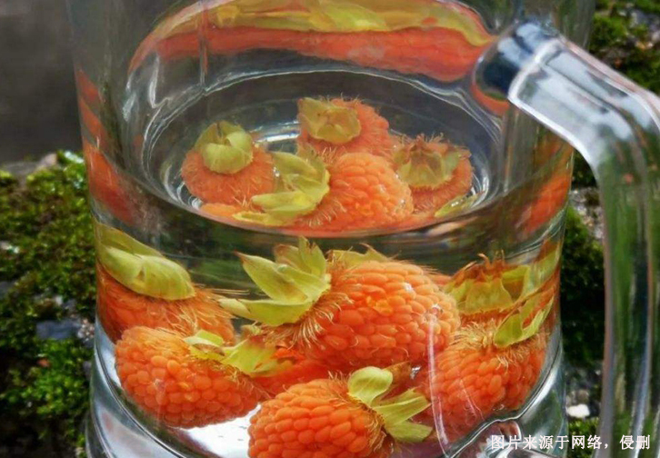 美國覆盆子籽油進口清關