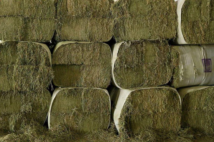 苜蓿草進口清關(guān)流程