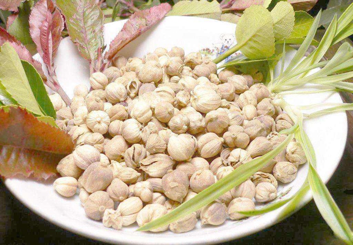 阿拉伯聯(lián)合酋長國豆蔻進(jìn)口報關(guān)