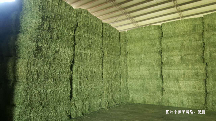 進口哈薩克斯坦苜蓿草報關(guān)資料