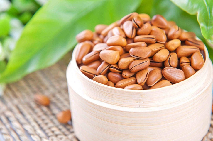 進口松子清關公司