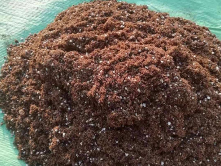 青島進(jìn)口椰糠報(bào)關(guān)公司