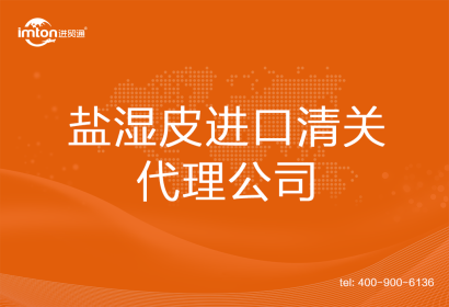 鹽濕皮進口清關代理公司