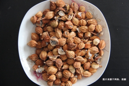 馬來西亞肉豆蔻進口報關流程_廣州調味香料清關資料