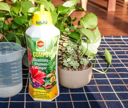 氨基酸營養(yǎng)液進口報關資料_植物營養(yǎng)劑進口申報要素