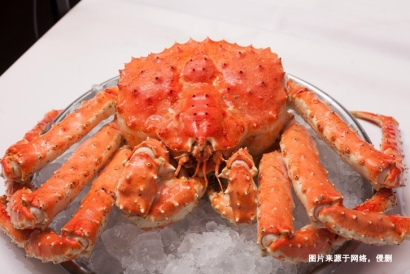 上海水產品食品進口報關清關流程｜詳解信息