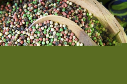 廣州港進口胡椒清關公司代理所需資料