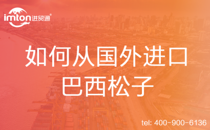 如何從國外進口巴西松子