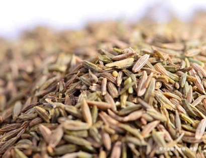 德國枯茗子進口清關(guān)資料_青島進口孜然香料報關(guān)流程