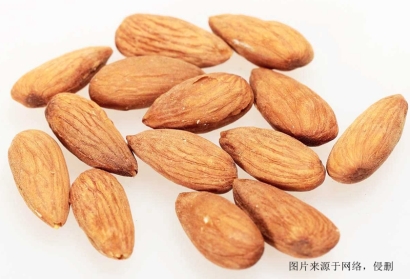 佛山進口越南扁桃仁報關資料代理堅果食品海運案例