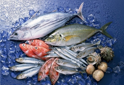 水產(chǎn)品進(jìn)口清關(guān)所需資料流程_越南沙丁魚(yú)報(bào)關(guān)代理