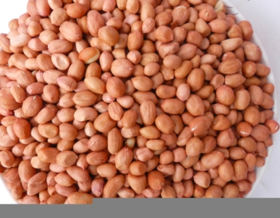 廣州花生米進口報關代理需要什么資料