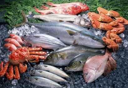 清關(guān)公司：進(jìn)口冷凍海鮮報關(guān)需要什么手續(xù)資料