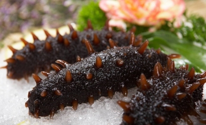 法國冰鮮海參進(jìn)口報(bào)關(guān)公司:進(jìn)口水產(chǎn)品報(bào)關(guān)流程