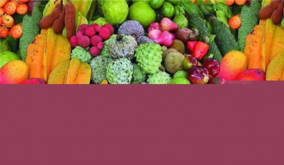 泰國水果進口報關一站式代理服務公司