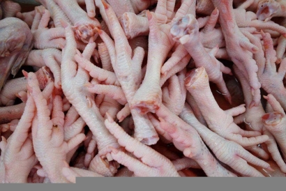 深圳鹽田進口白俄羅斯雞爪清關流程代理冷凍肉案例