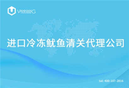 進口冷凍魷魚清關代理公司告訴你魷魚進口流程