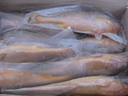 進(jìn)口韓國海鮮報關(guān)這些你是要知道的