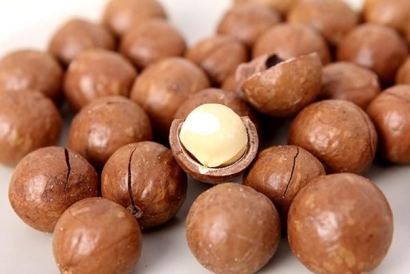 上海堅(jiān)果進(jìn)口報關(guān)代理一般貿(mào)易進(jìn)口