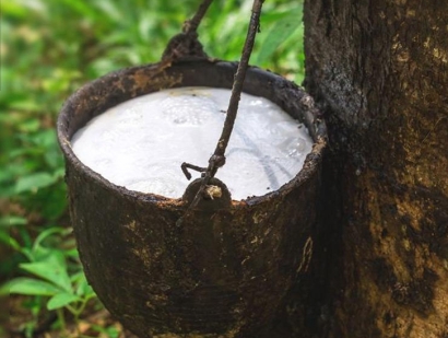 在大連橡膠進口清關流程怎么樣？越南橡膠進口關稅