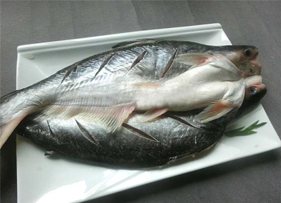 指導(dǎo)!初次冷凍巴沙魚進(jìn)口報關(guān)應(yīng)該這樣做