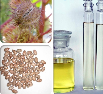 蓖麻油進(jìn)口關(guān)稅_蓖麻油進(jìn)口報關(guān)申報所需文件