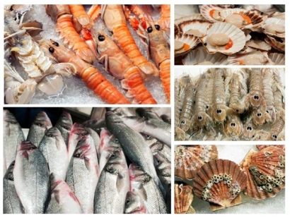 湛江海鮮報關(guān)公司哪家好_湛江水產(chǎn)品報關(guān)