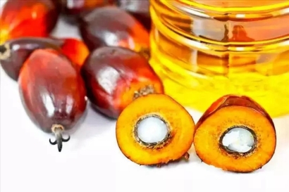 進口印尼棕櫚油報關(guān)流程及費用門到門-19年食品報關(guān)行