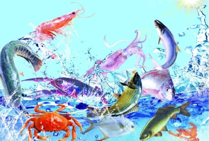 越南生鮮進口清關流程及費用詳解：有哪些細節需要注意？