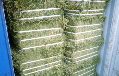 加拿大梯牧草進口報關流程_準入植物源性飼料種類