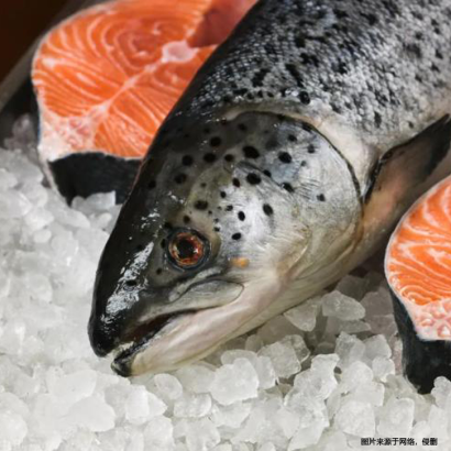 廈門(mén)冷凍食品進(jìn)口報(bào)關(guān)清關(guān)指南-19年冷凍食品進(jìn)口報(bào)關(guān)行