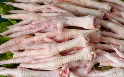 阿根廷冷凍雞爪進(jìn)口報(bào)關(guān)一般貿(mào)易進(jìn)口條件