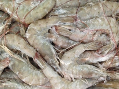 冷凍水產品進口清關資料簡介_進口水產品標簽問題