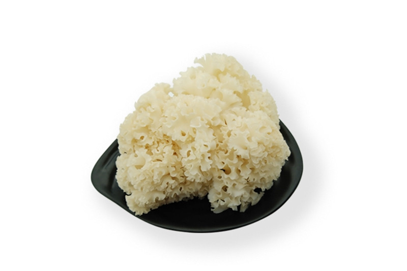 進口營養植物報關 進口營養植物報關