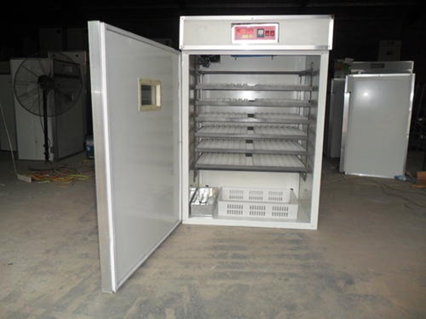 深圳鳥類產(chǎn)品孵化儀器設備進口報關(guān)代理