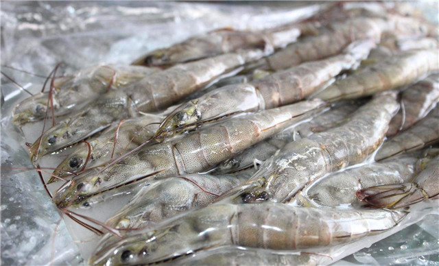 越南蝦進口報關流程技巧講解，get到了嗎