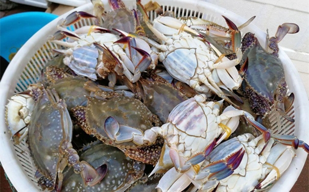 冷凍梭子蟹進口報關(guān) 冷凍梭子蟹進口報關(guān)的流程手續(xù)復雜嗎?