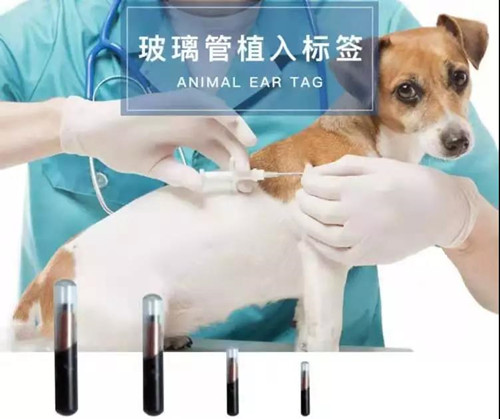 1570758626218486.jpg 寵物進(jìn)口報關(guān)